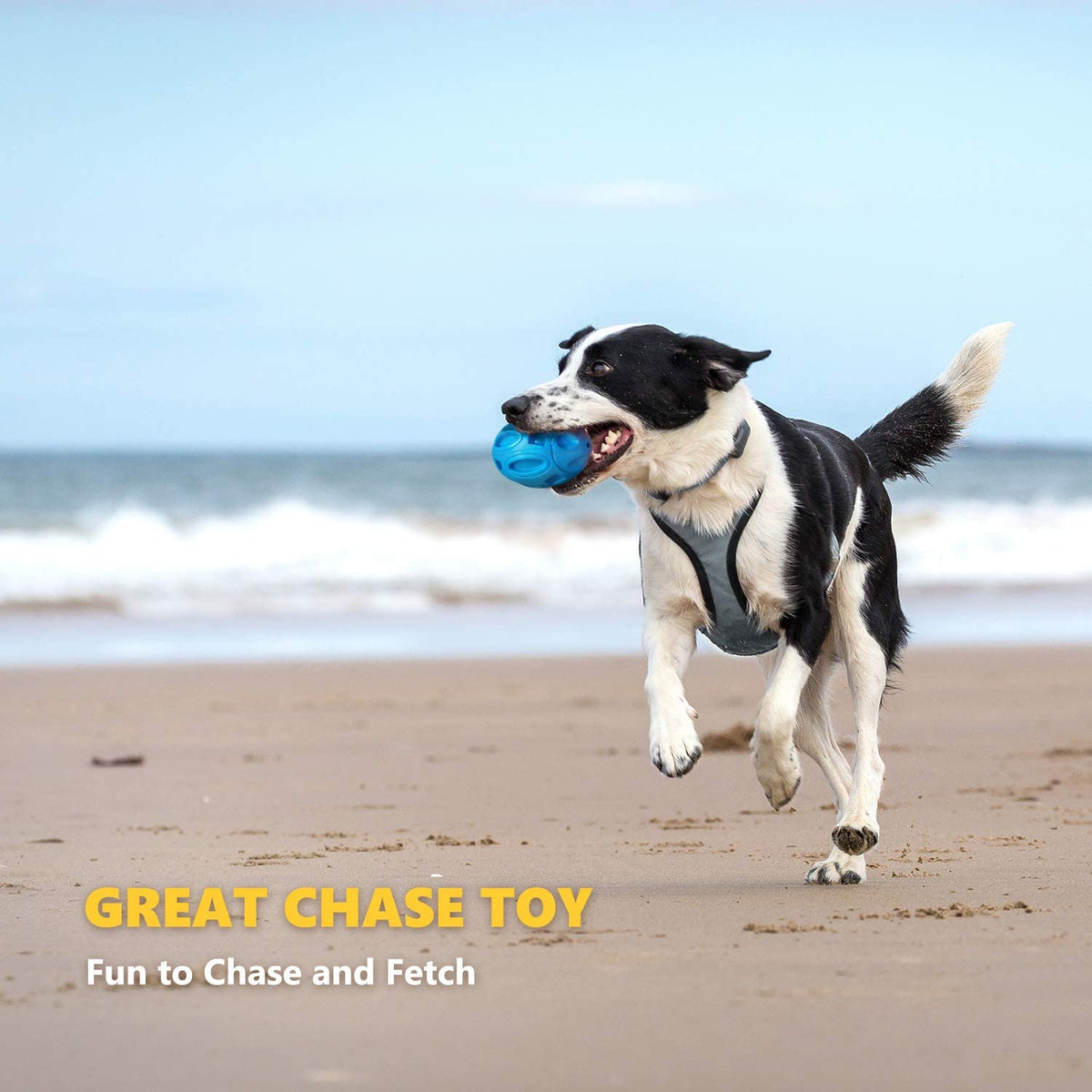 Rubber Rugby Sounding Dog Ball