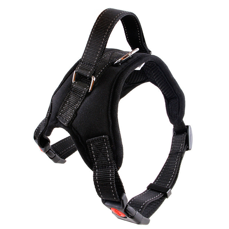 Medium/Large Dog Dog Collar