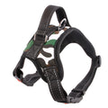 Medium/Large Dog Dog Collar
