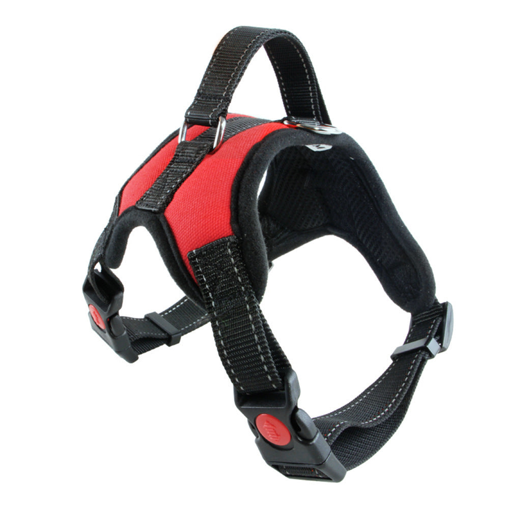 Medium/Large Dog Dog Collar