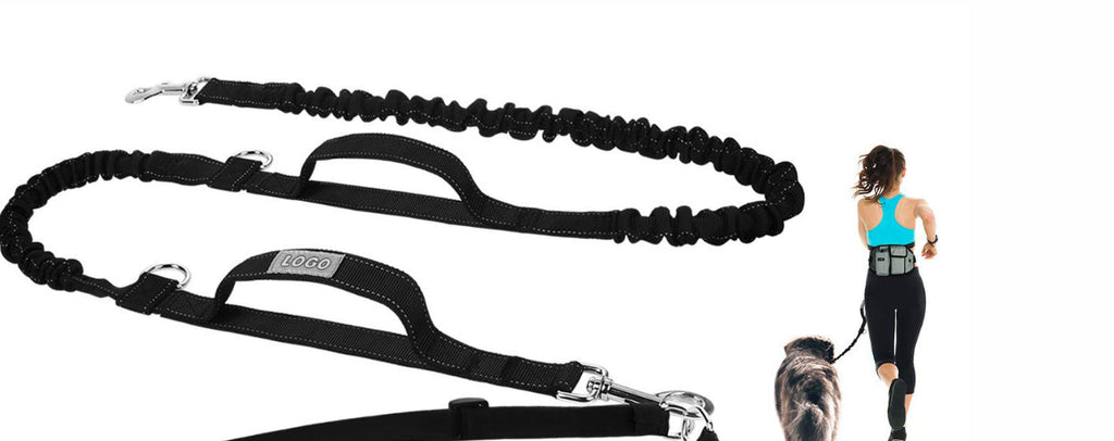 Dog Training Leash + Waist Bag