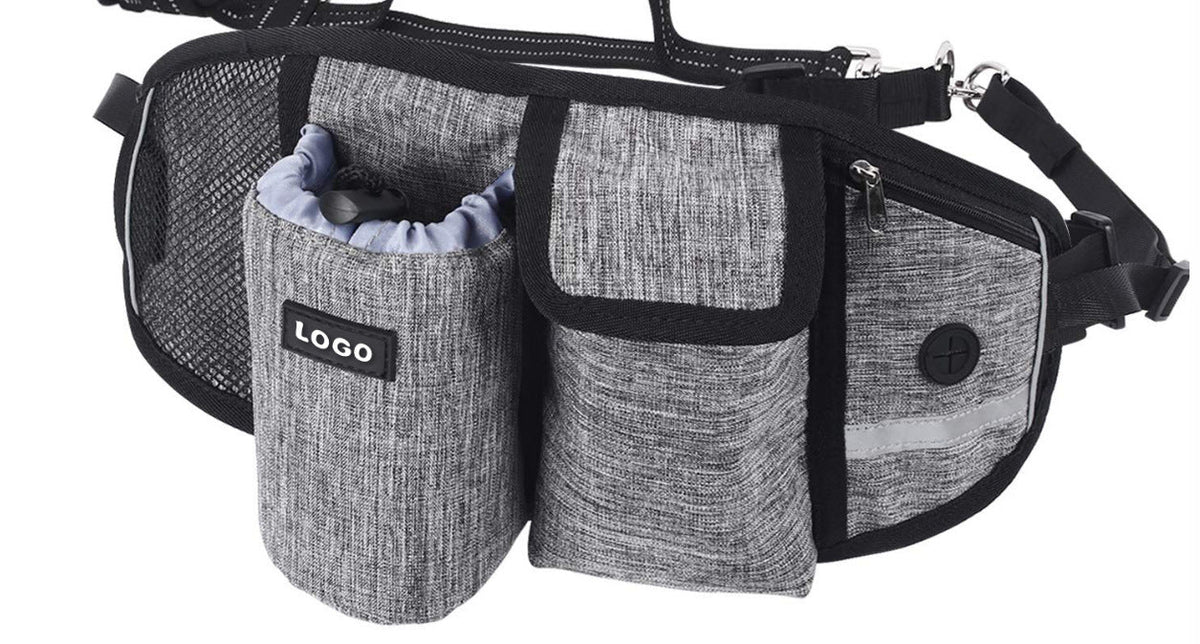 Dog Training Leash + Waist Bag