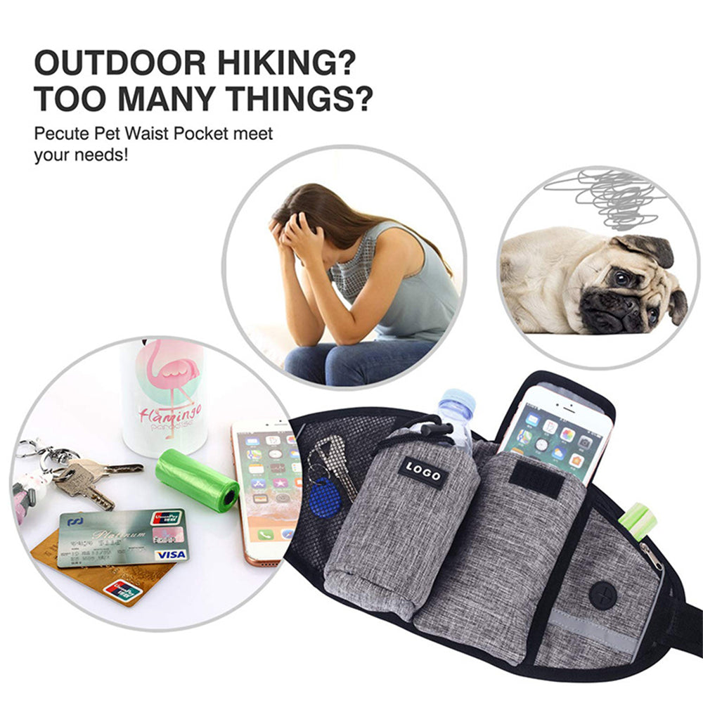 Dog Training Leash + Waist Bag
