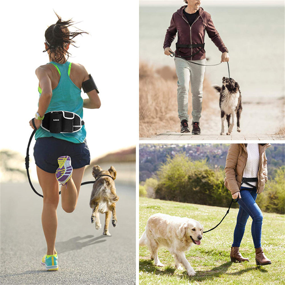 Dog Training Leash + Waist Bag