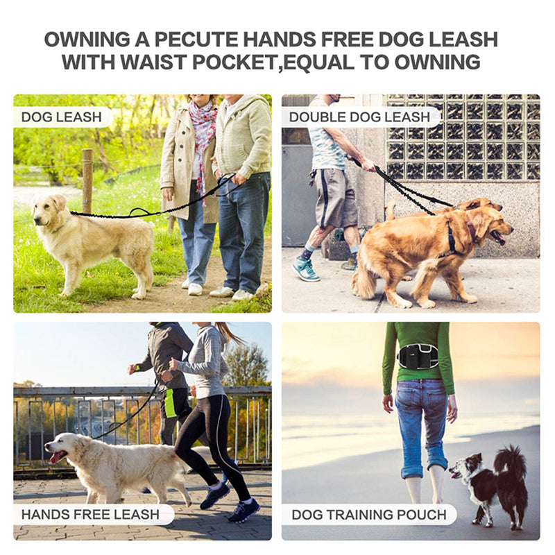 Dog Training Leash + Waist Bag
