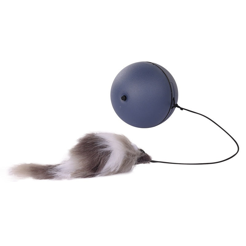 Moving Teaser Ball For Pets