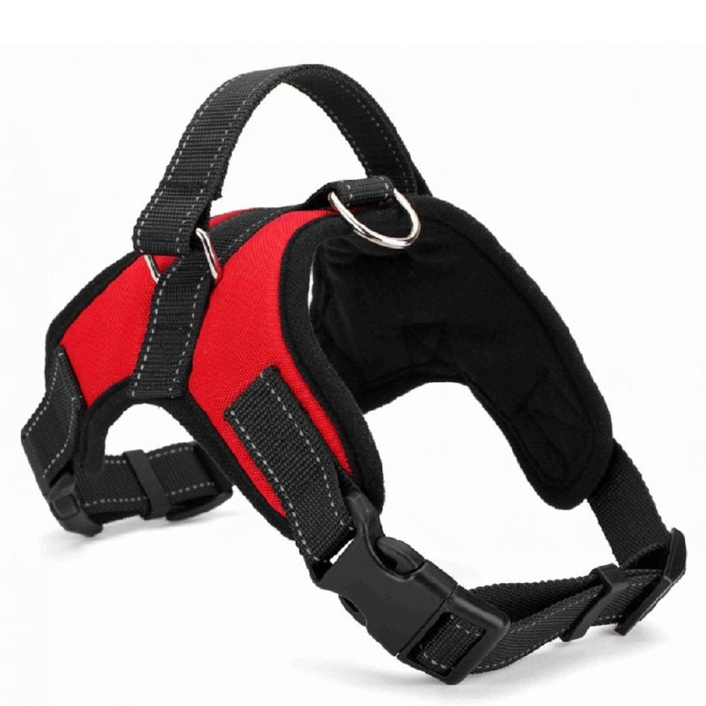 Medium/Large Dog Dog Collar