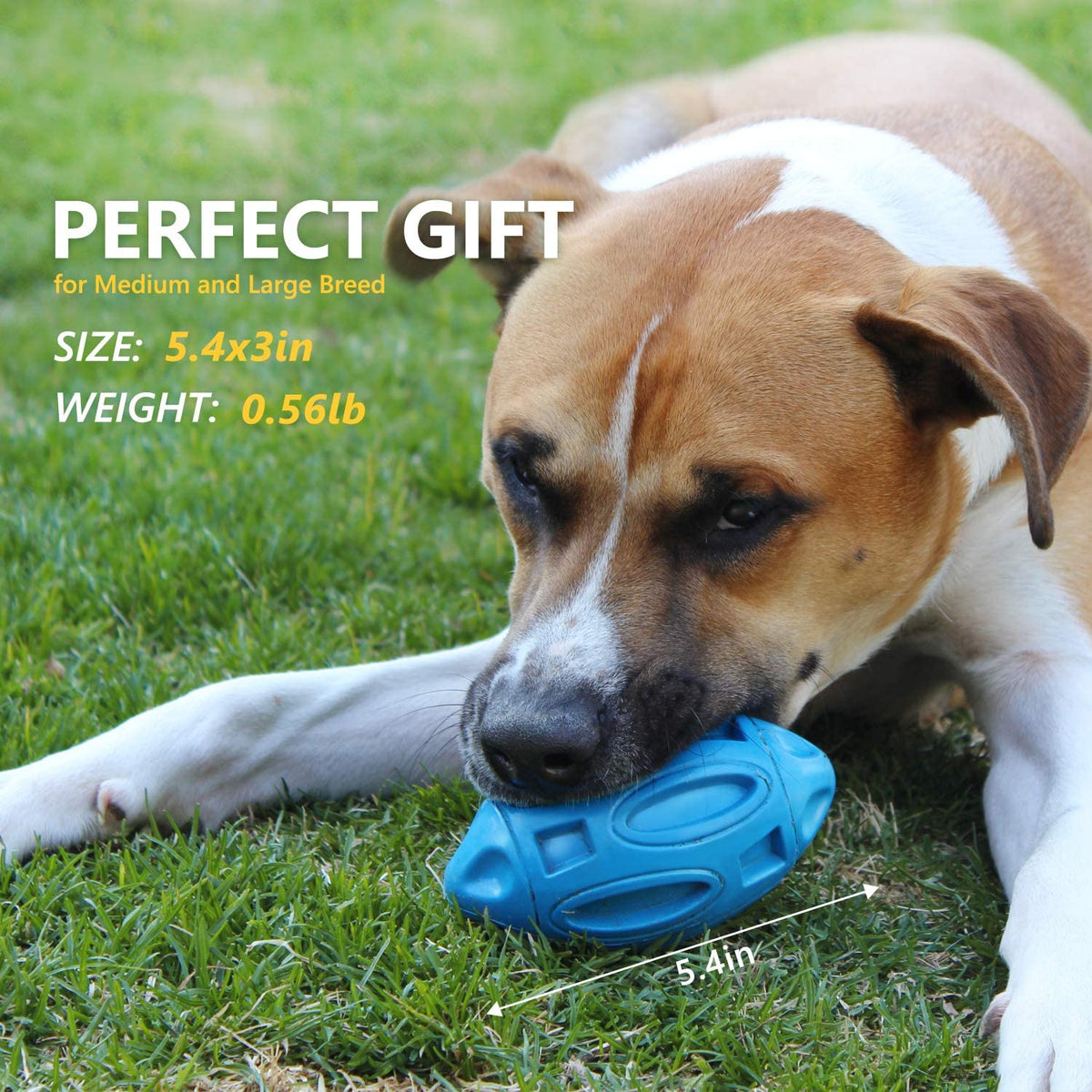 Rubber Rugby Sounding Dog Ball