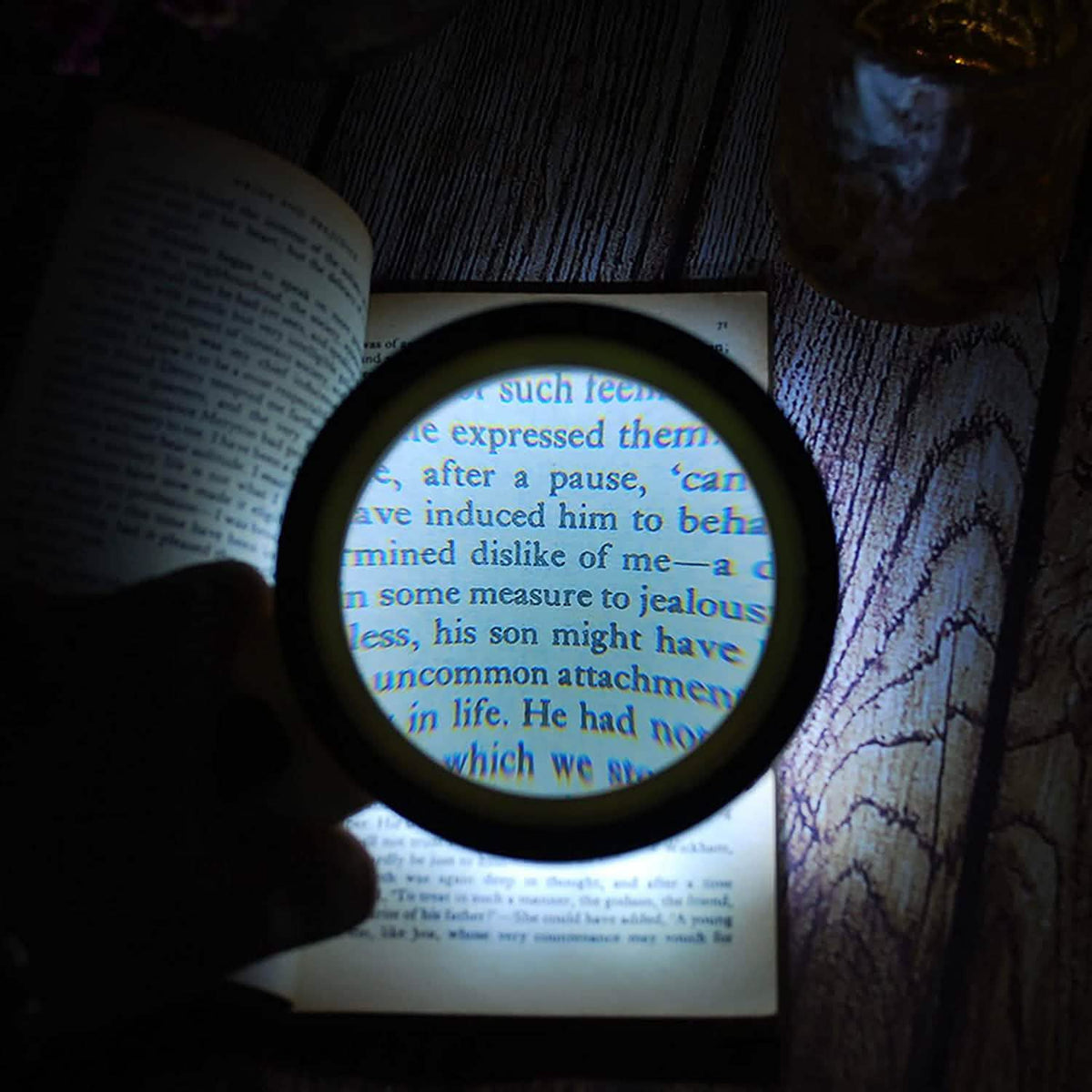 30X LED Hand Magnifying Glass