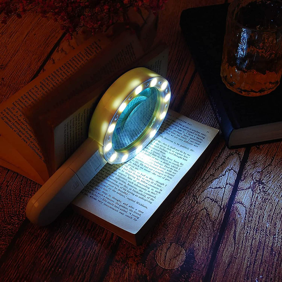 30X LED Hand Magnifying Glass