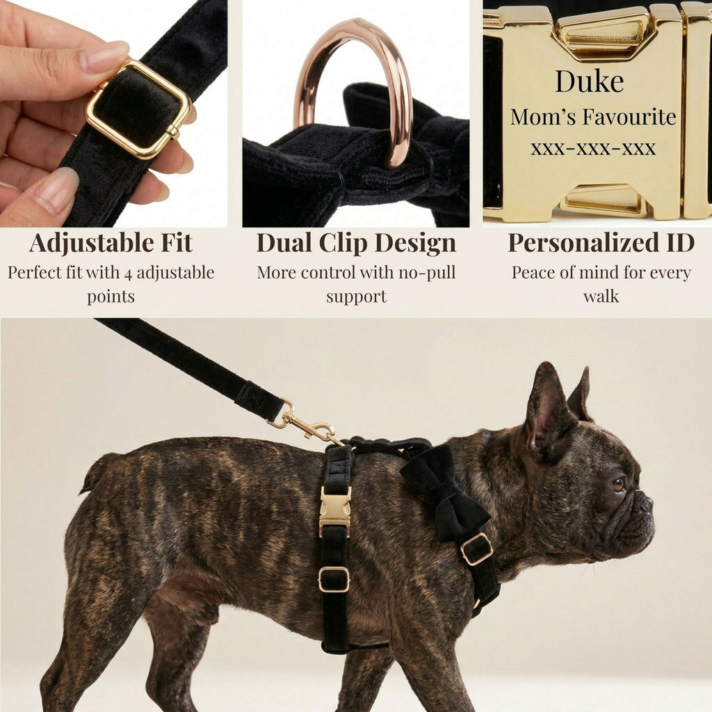 Black Velvet Harness