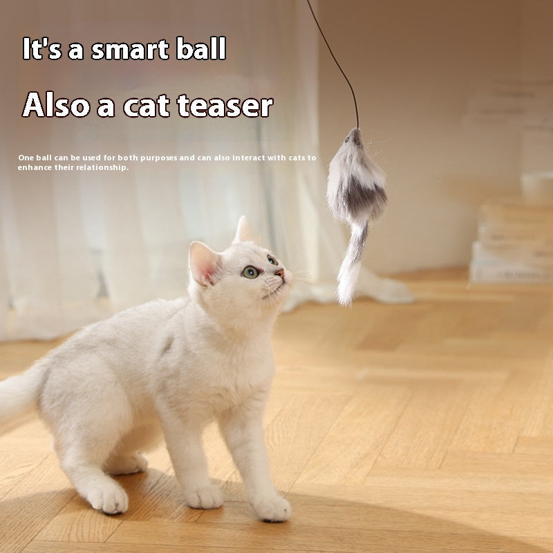 Moving Teaser Ball For Pets