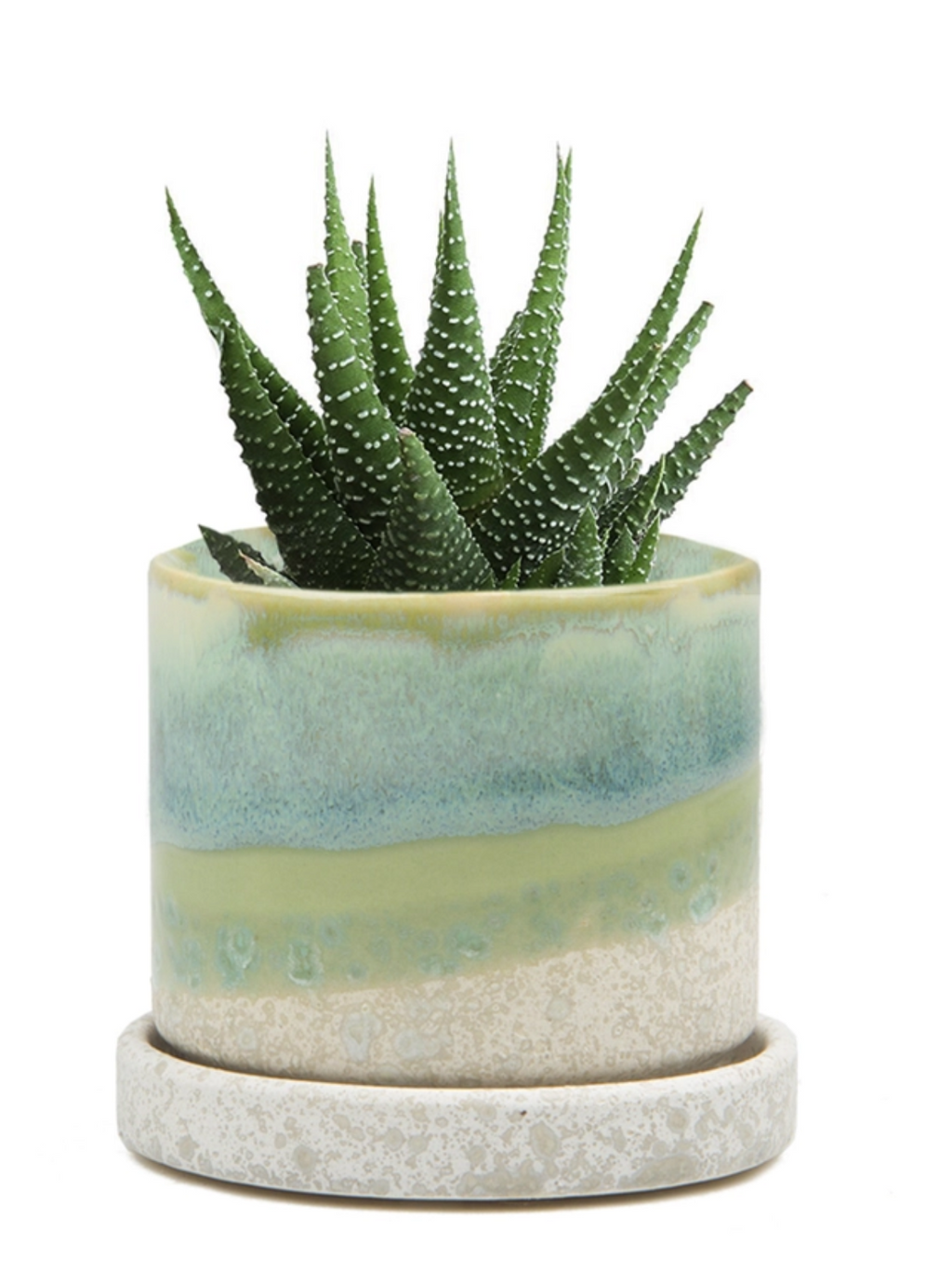 Ceramic Plant Pot + Saucer