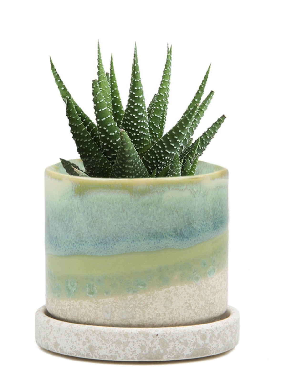 Ceramic Plant Pot + Saucer