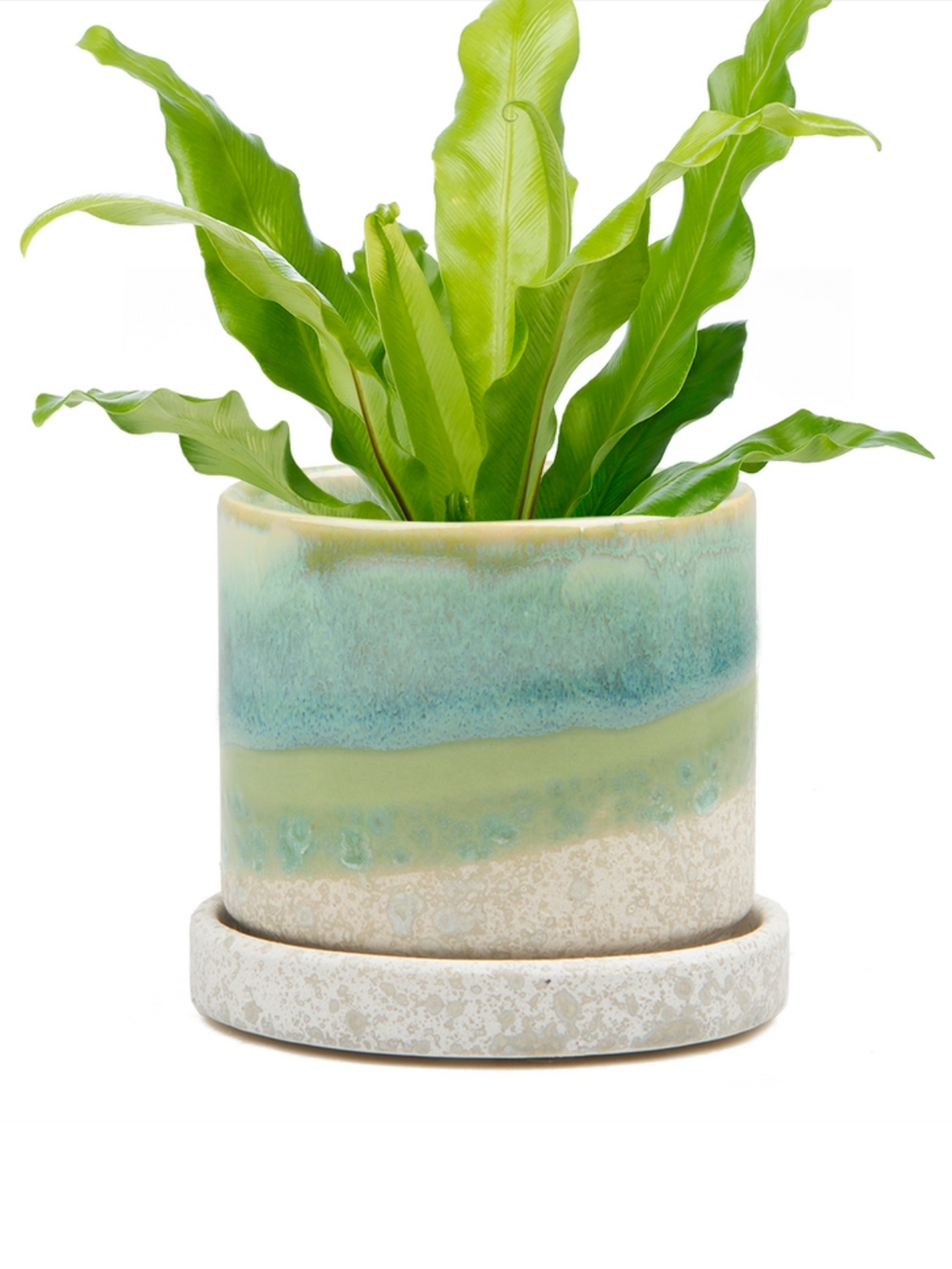 Ceramic Plant Pot + Saucer