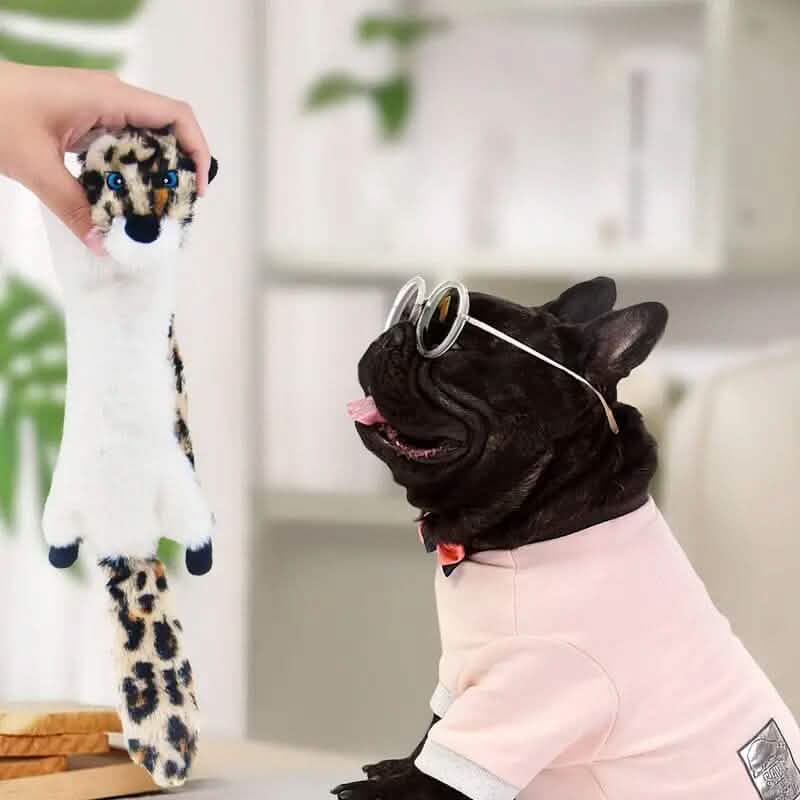 6-Pack Squeaky Dog Toys