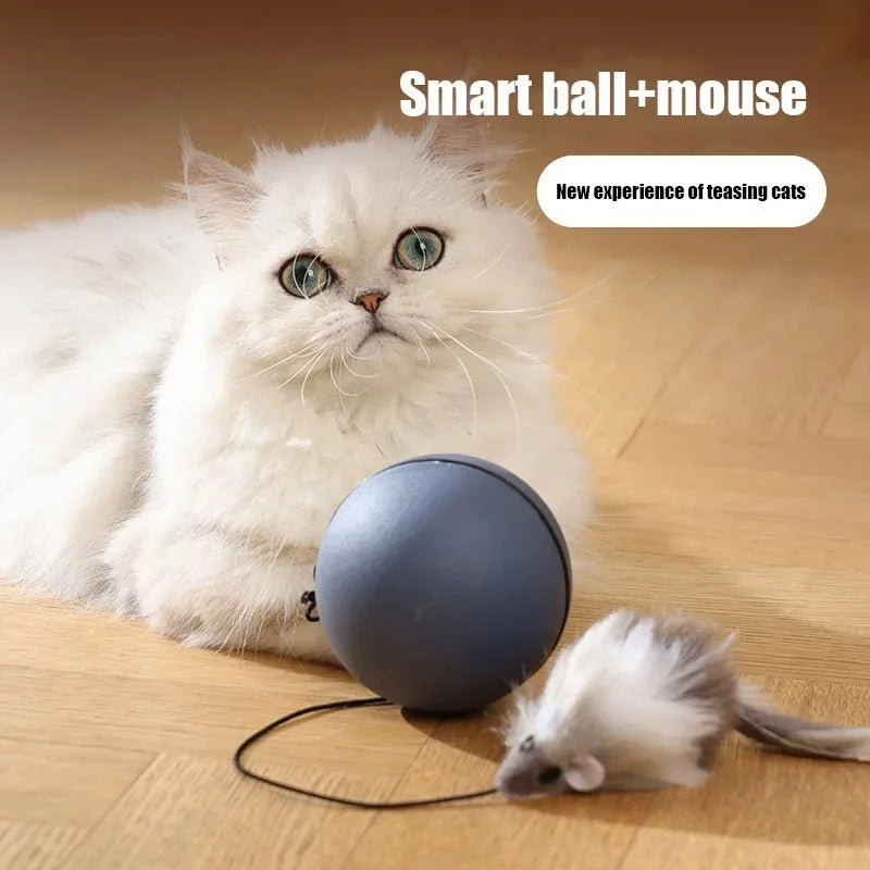 Moving Teaser Ball For Pets