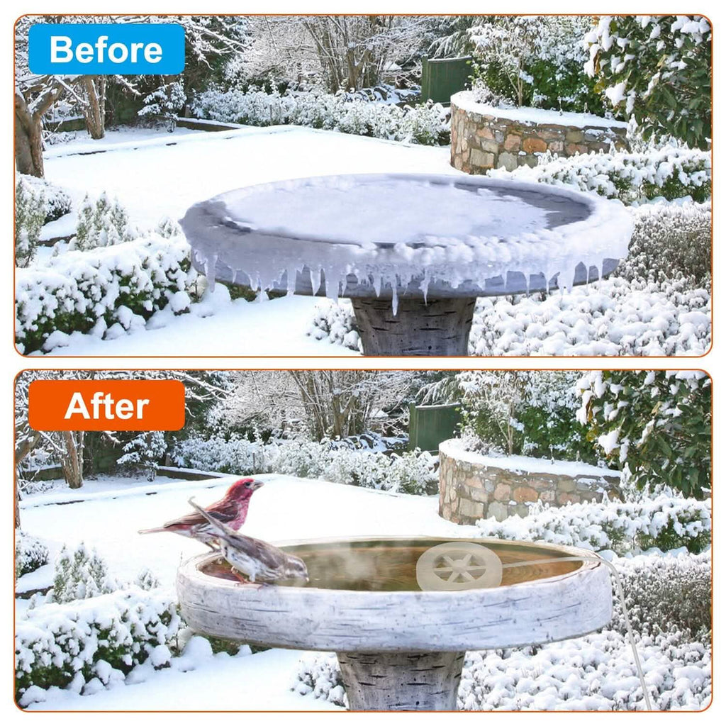 Bird Bath Water Heater