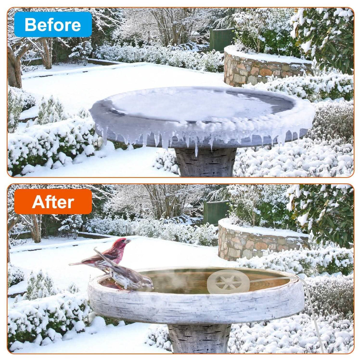 Bird Bath Water Heater