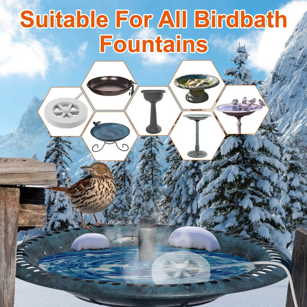 Bird Bath Water Heater