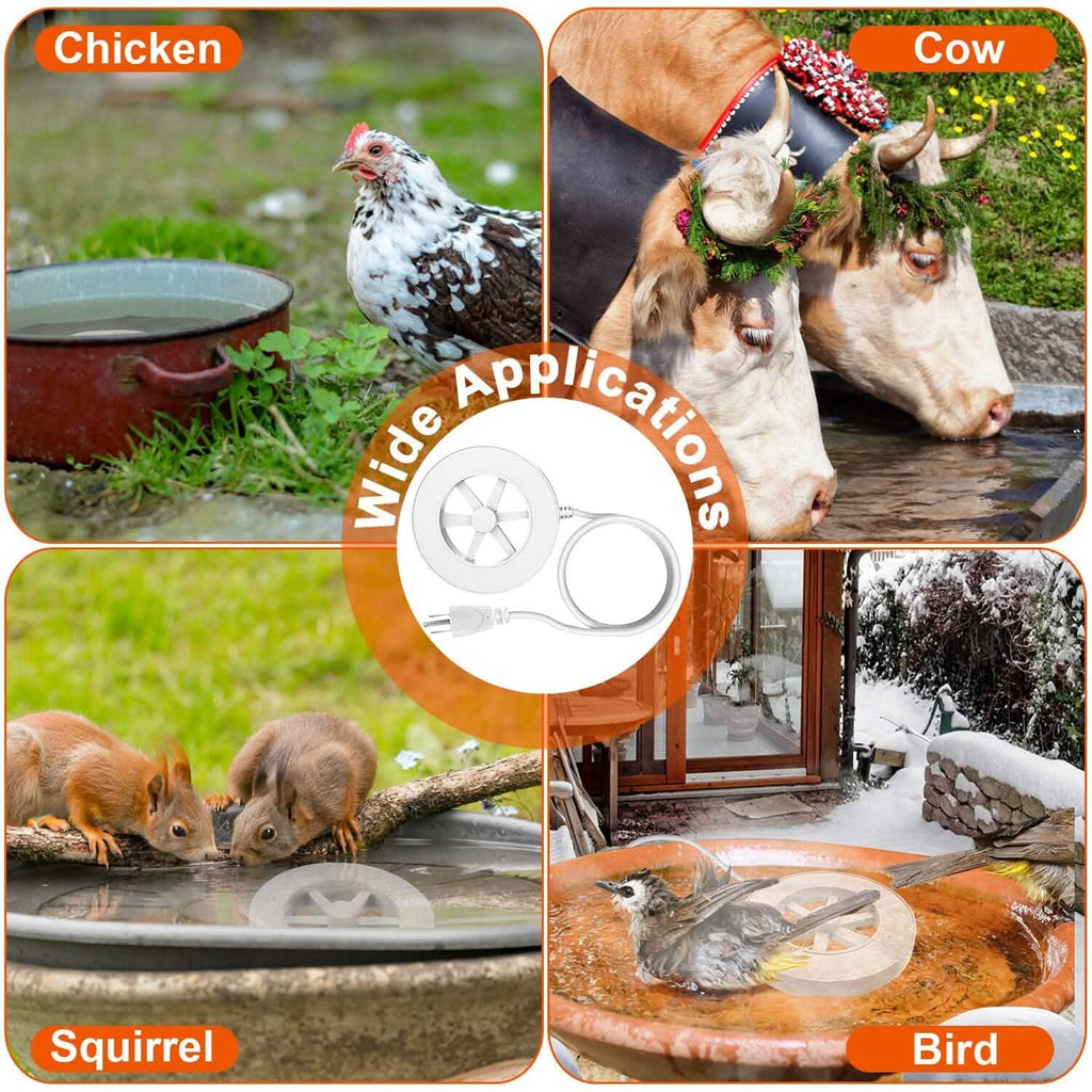 Bird Bath Water Heater