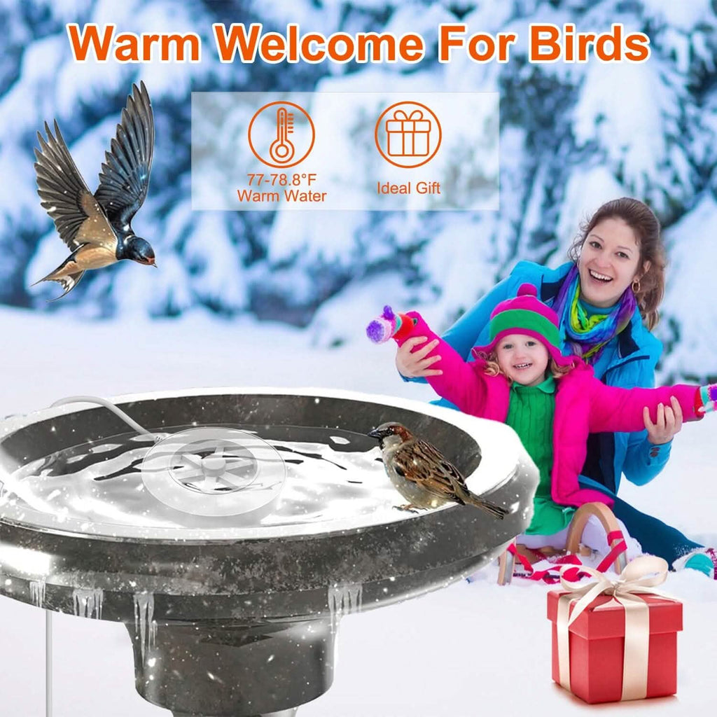 Bird Bath Water Heater