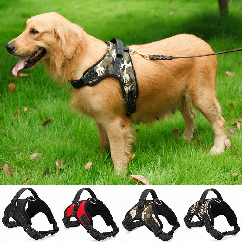 Medium/Large Dog Dog Collar
