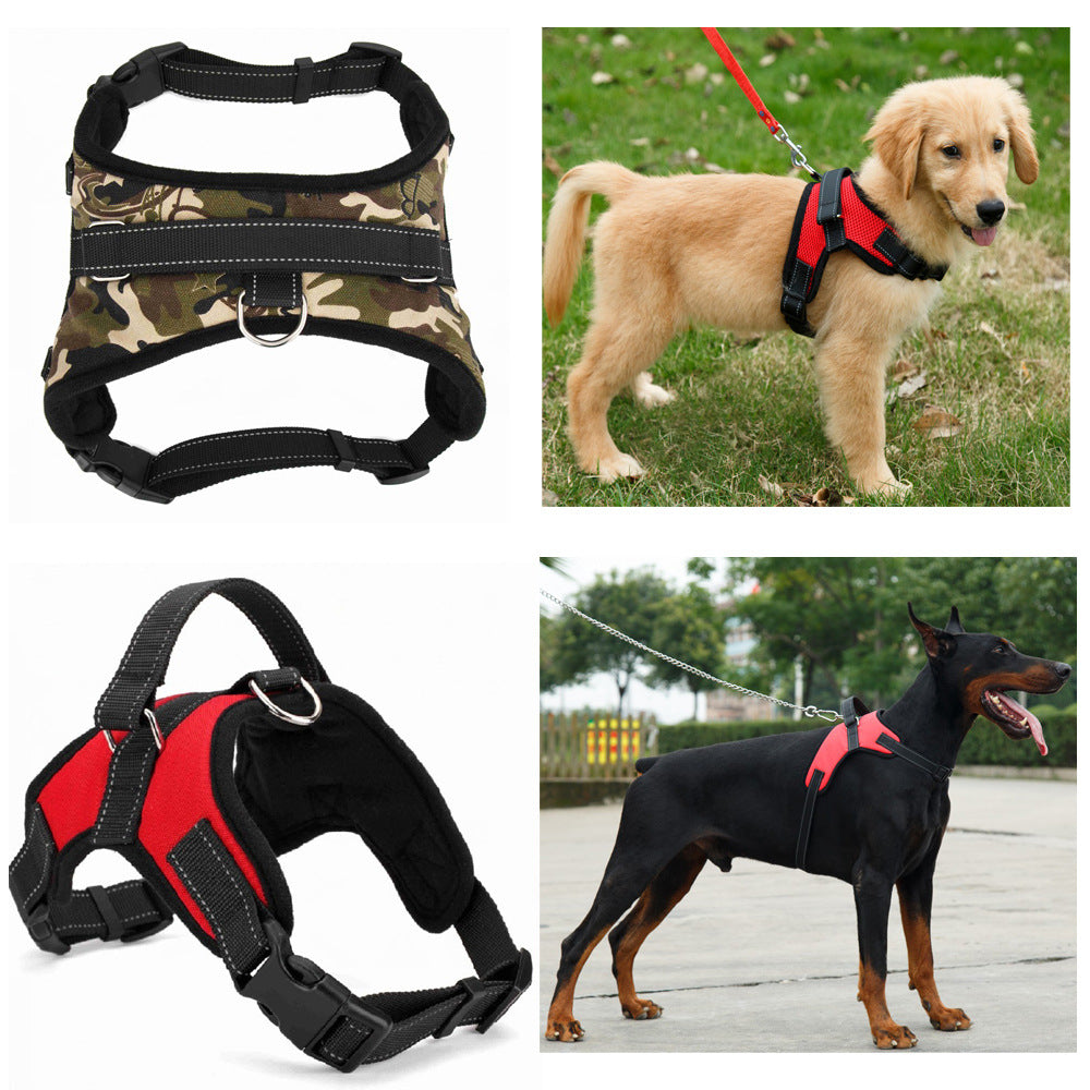 Medium/Large Dog Dog Collar