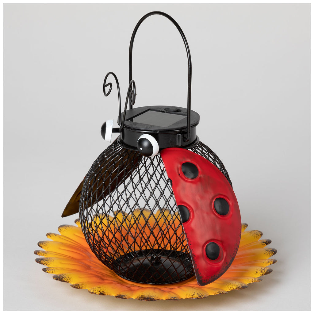 Cute As A Bug Bird Feeder