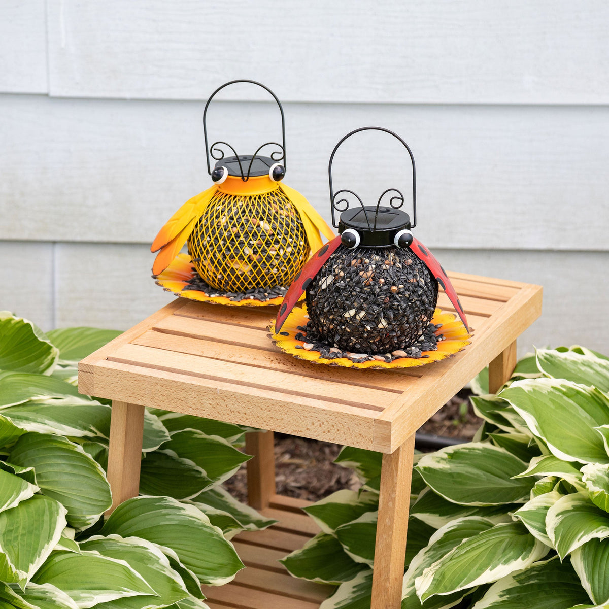 Cute As A Bug Bird Feeder