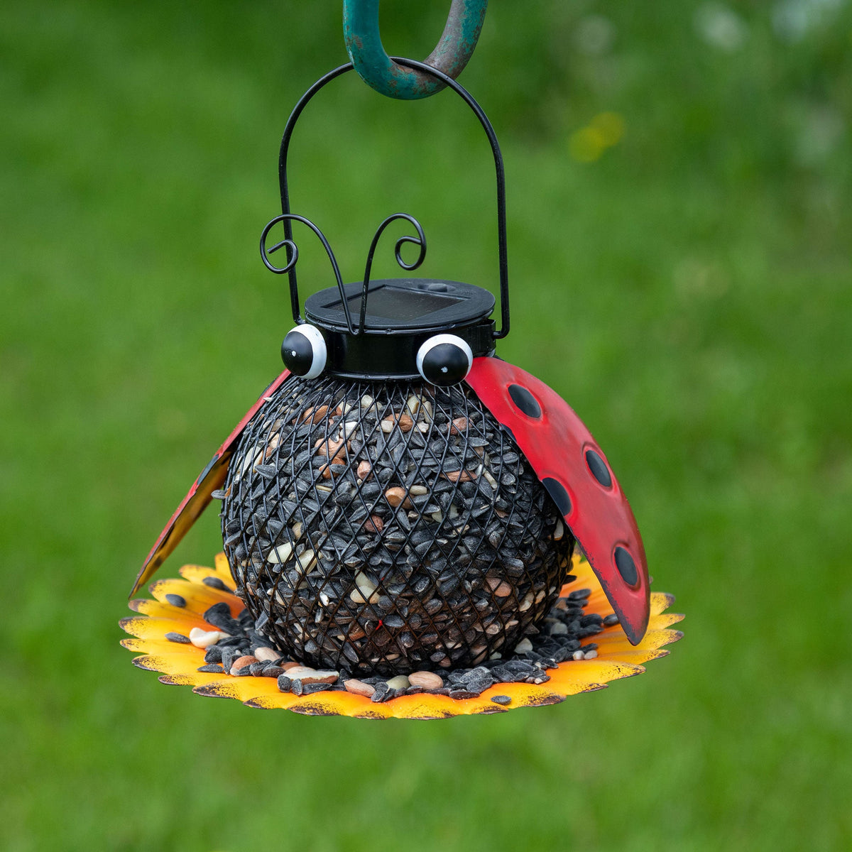 Cute As A Bug Bird Feeder