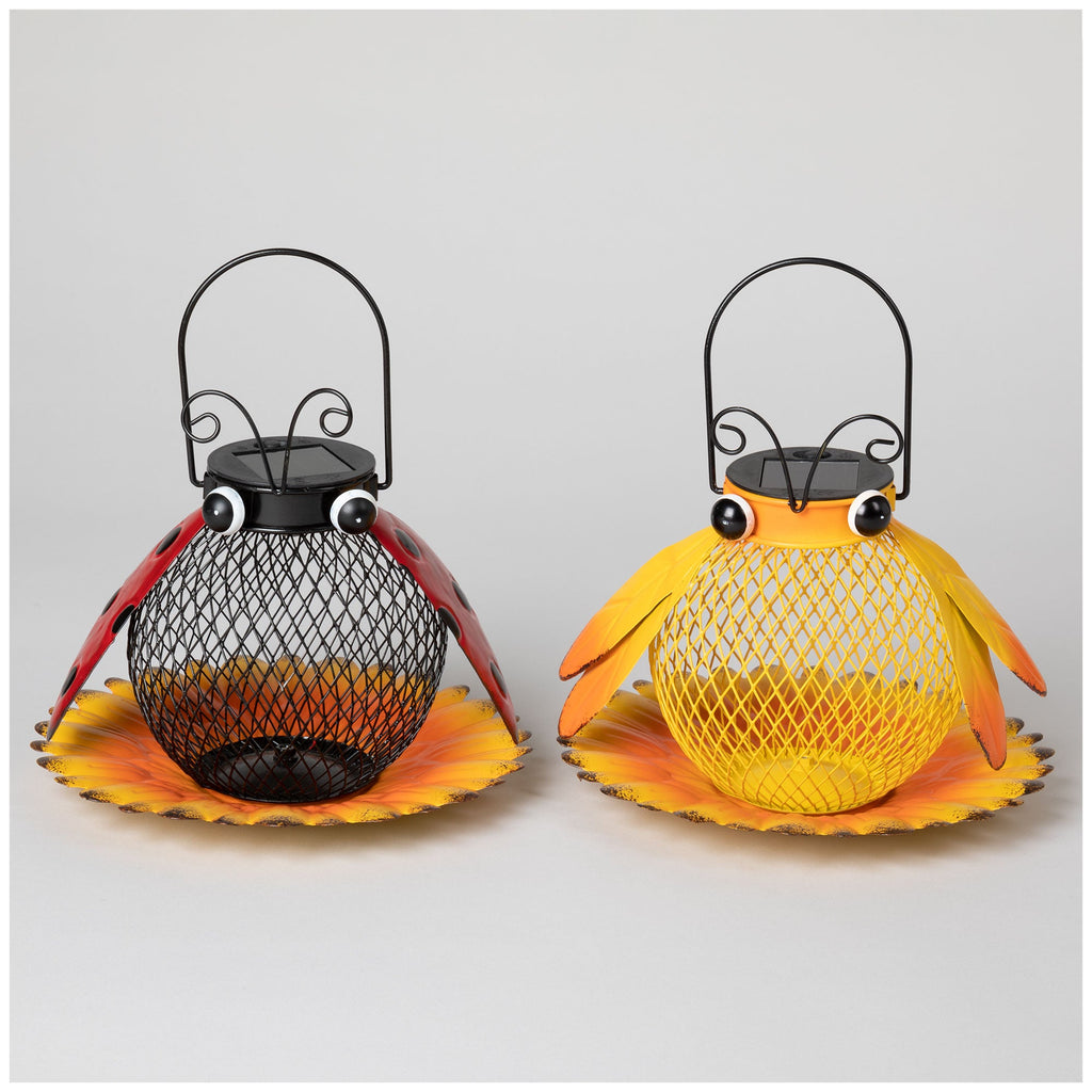 Cute As A Bug Bird Feeder