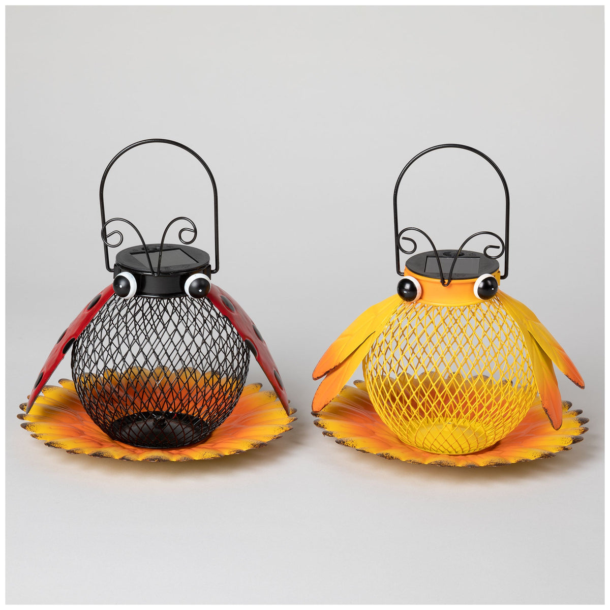 Cute As A Bug Bird Feeder