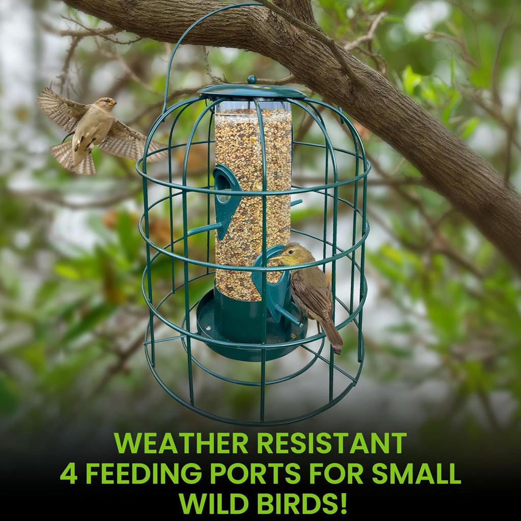 Squirrel Resistant Bird Feeder