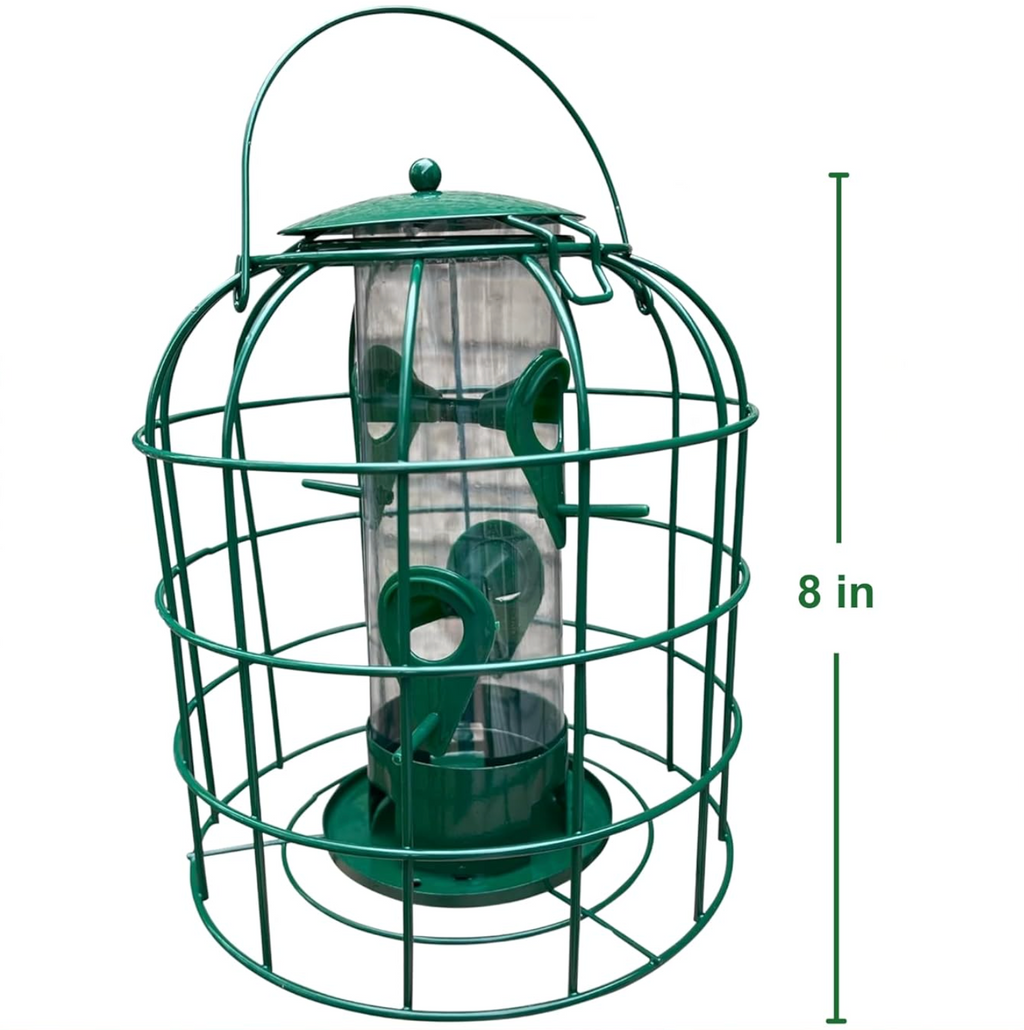 Squirrel Resistant Bird Feeder