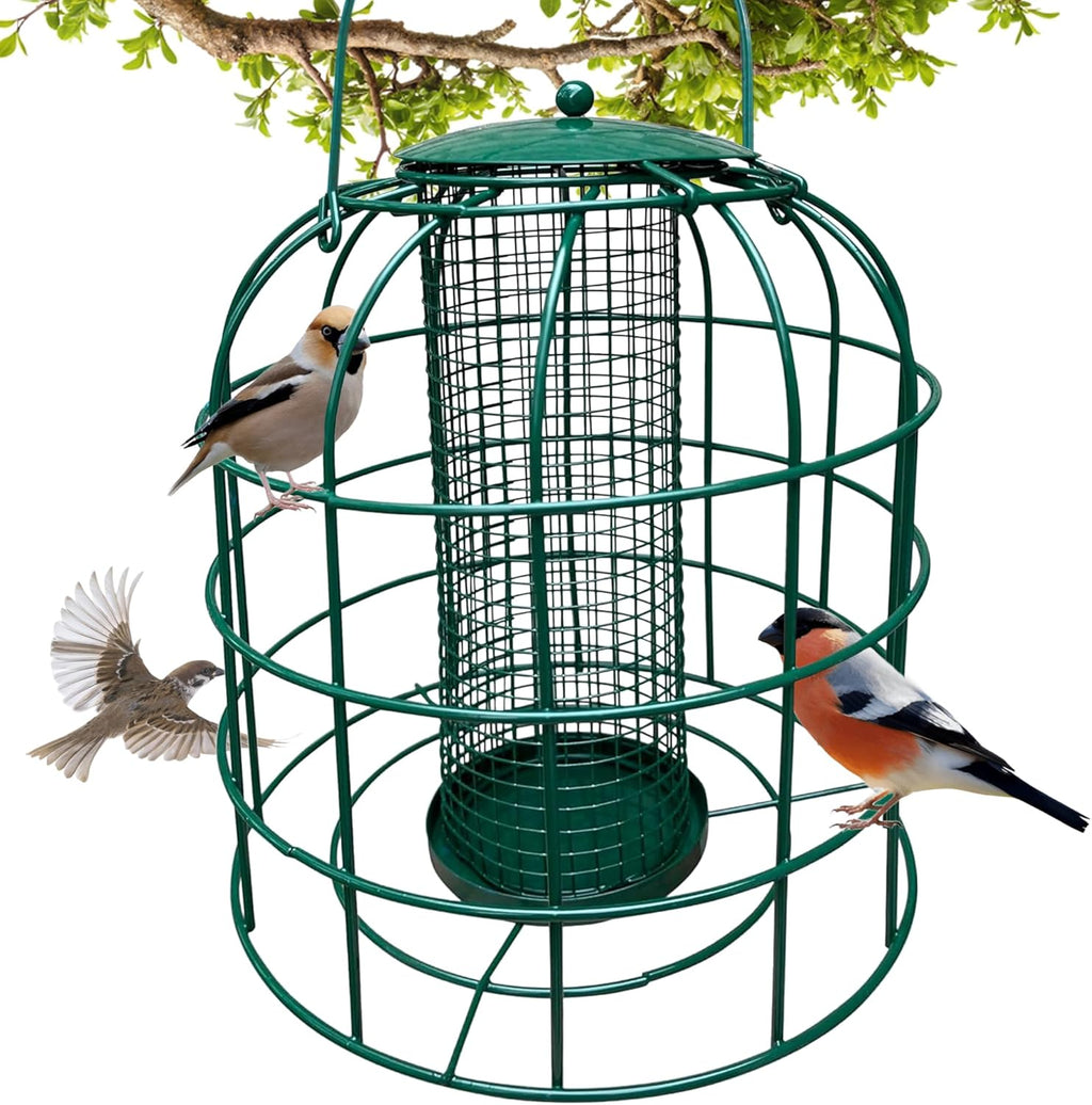 Squirrel Resistant Bird Feeder
