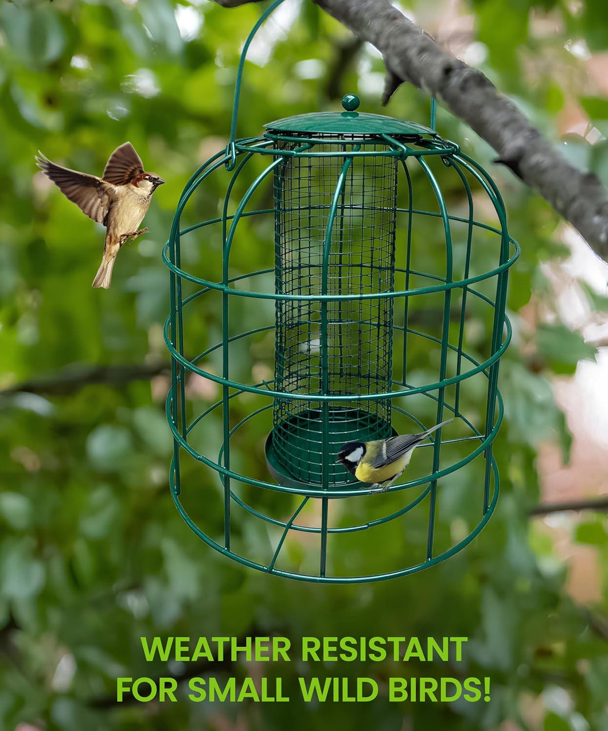 Squirrel Resistant Bird Feeder