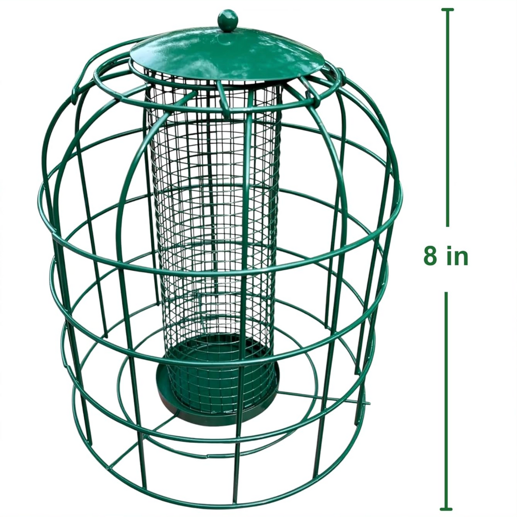 Squirrel Resistant Bird Feeder