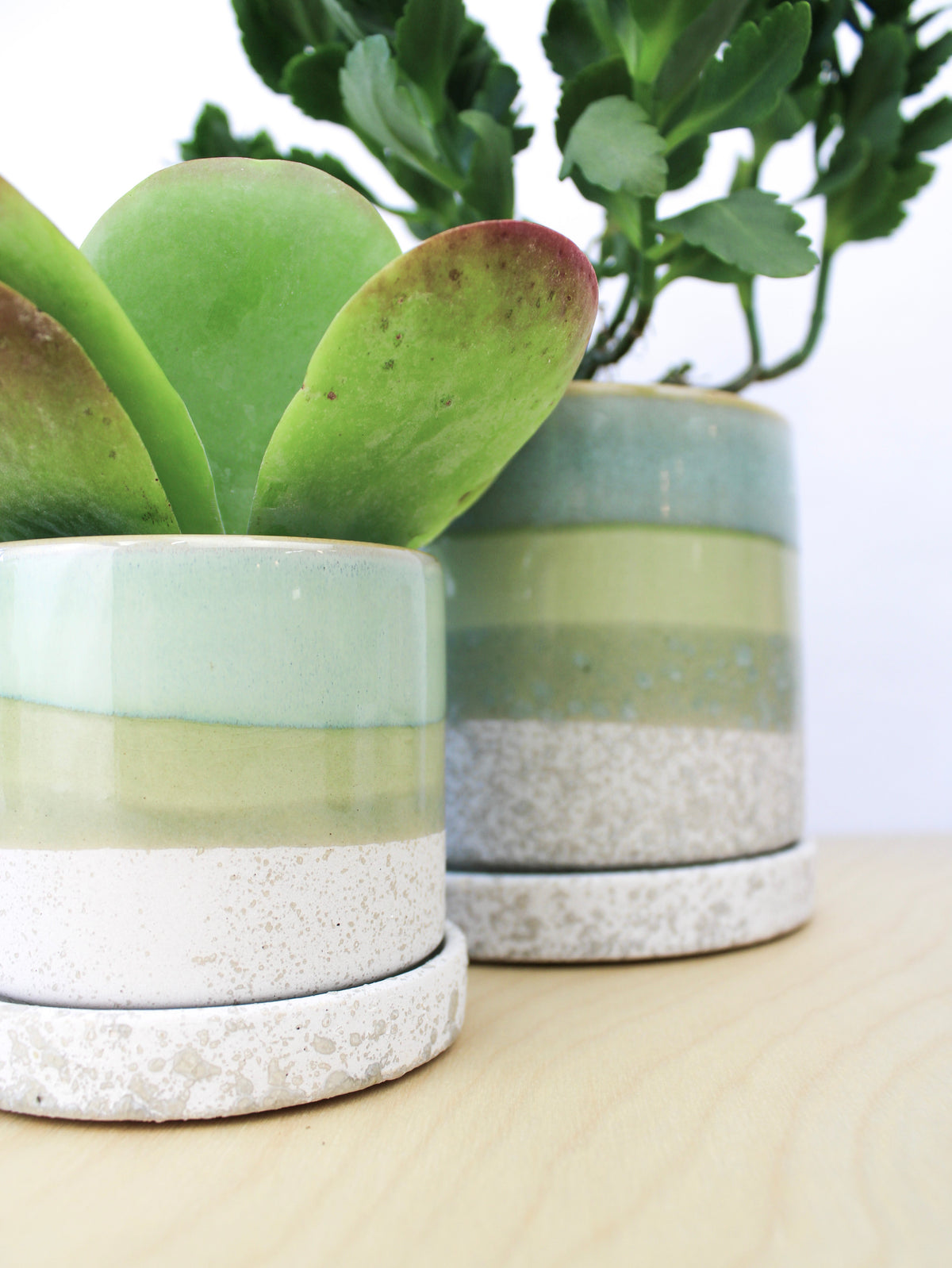 Ceramic Plant Pot + Saucer