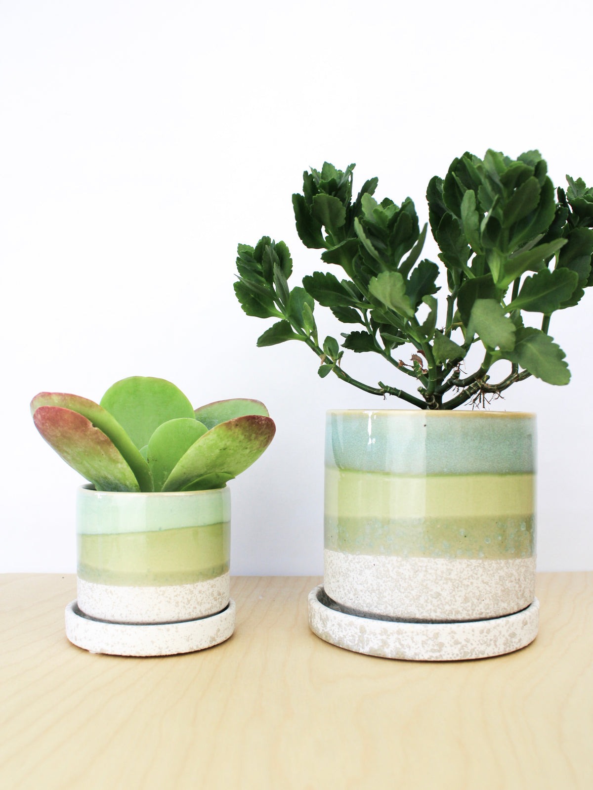 Ceramic Plant Pot + Saucer