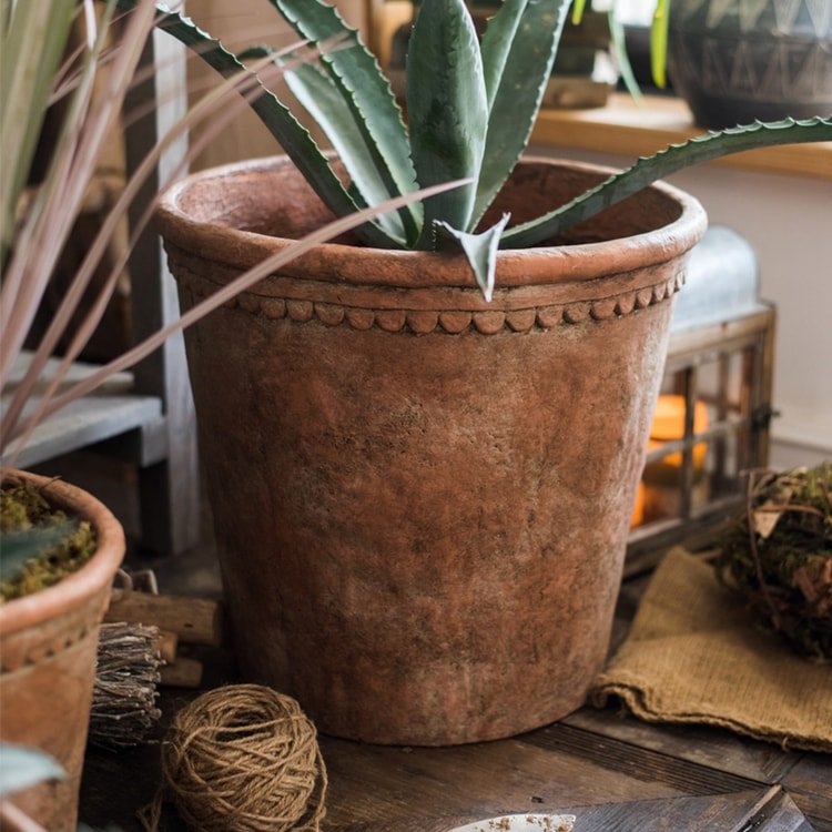 Large Terracotta Planter Pot