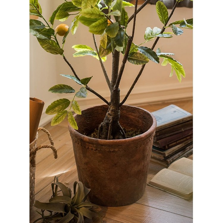 Large Terracotta Planter Pot