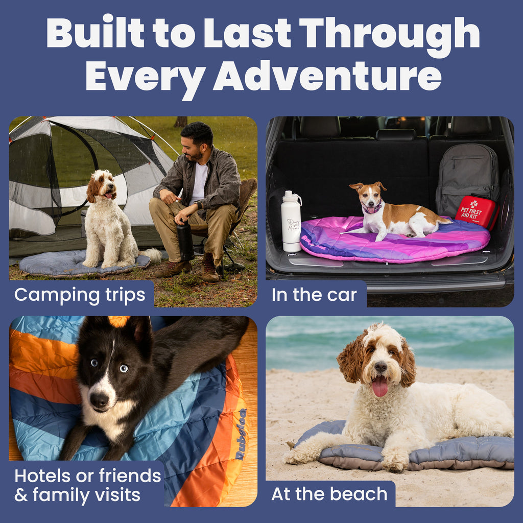 Travel/Camping Dog Bed