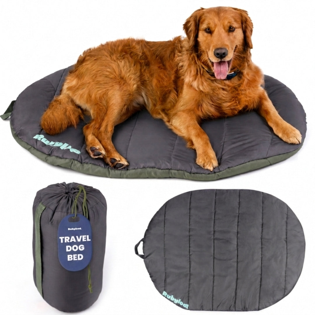 Travel/Camping Dog Bed