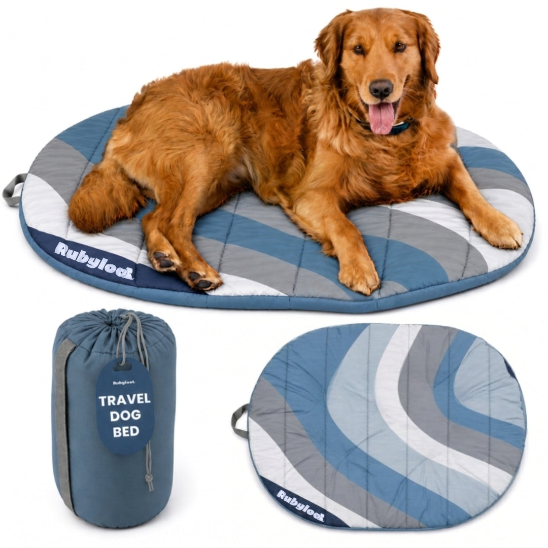 Travel/Camping Dog Bed
