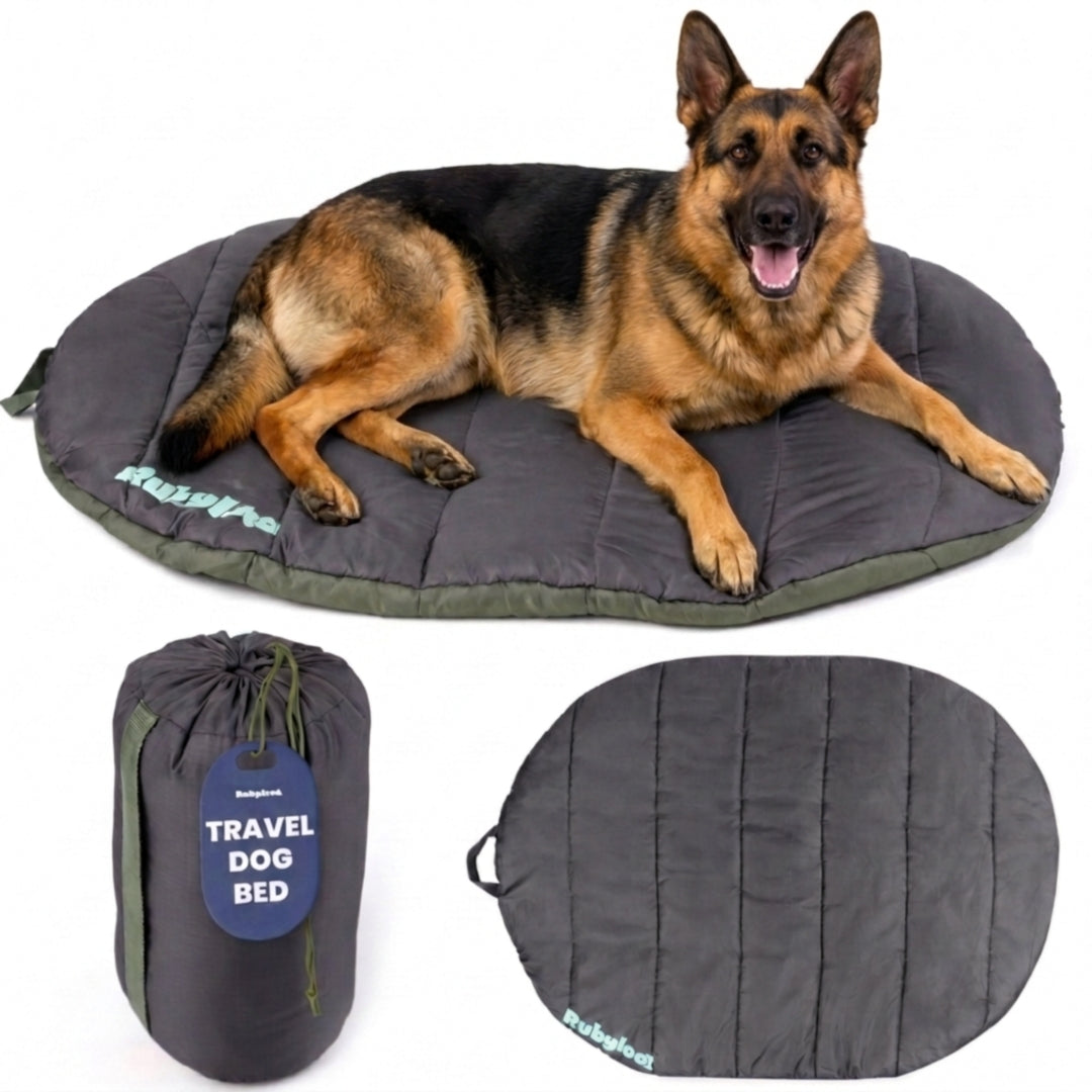 Travel/Camping Dog Bed