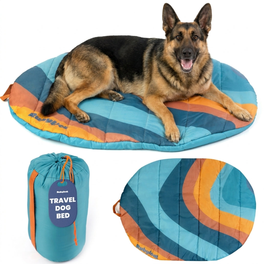 Travel/Camping Dog Bed