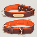 Leather Dog Collar w/Nameplate