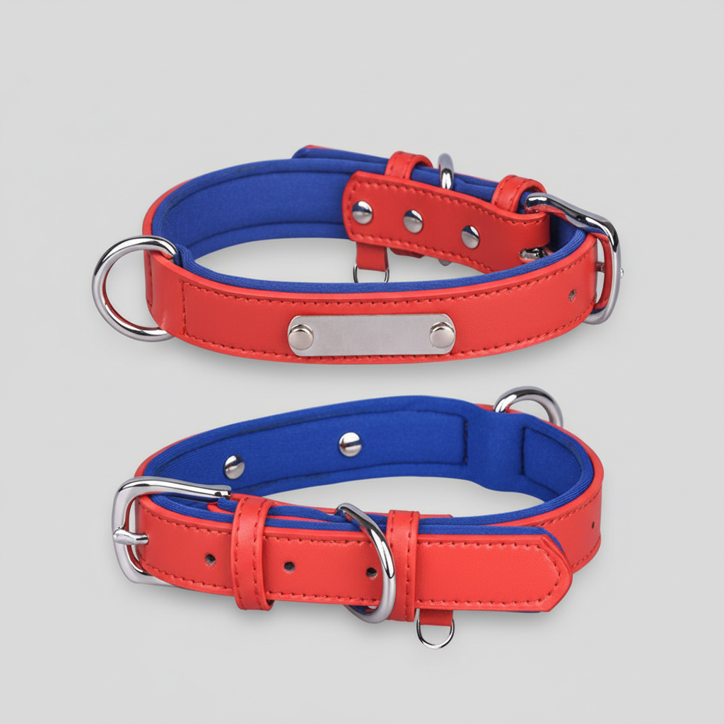 Leather Dog Collar w/Nameplate