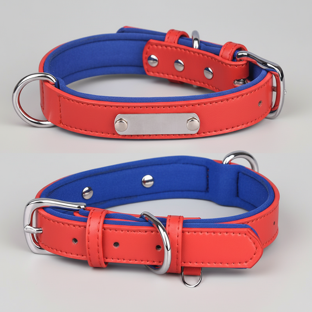 Leather Dog Collar w/Nameplate